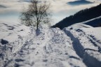 salto nella neve