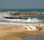 Mare