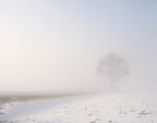 Inverno