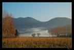 Siamo circondati