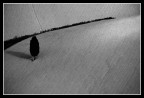 geometrie