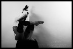White session#11