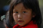 Sapa-08