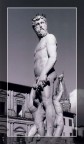 Firenze  Piazza della signoria
