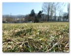 ISO 100
1/363
F/4,4
6 mm
