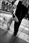 Torino, 13-01-08 (3)
