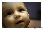 ritratto semplice ritratto semplice