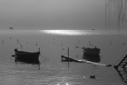 riflessi sul lago
