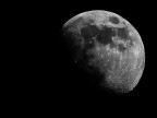 Esordio per il Pentax Takumar Super Multi Coated 500mm f4.5 che ho preso da poco usato su Ebay: eccovi la splendida luna che si poteva ammirare stasera dal centro di Roma, attraverso un atmosfera freddissima e tersa.

Olympus E-510, Pentax Takumar SMC 500mm f4.5, ISO100, 1/160sec f8, crop per isolare la luna.