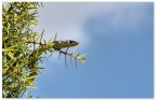 Mi godo il panorama