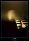 ...white line...#4