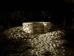 the ring