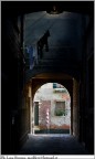 luce e buio