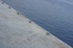 geometrie