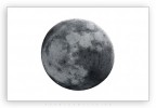 Negative Moon