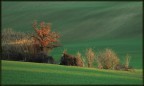 L'ultimo raggio