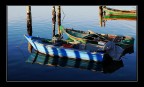I colori del Delta