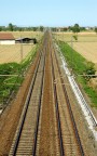 Griglia