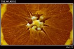 The Orange