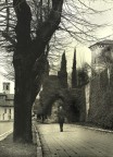 Rovato 2008
