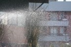 Spruzzi di acqua
