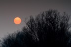 foggy sunset