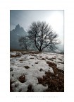 Thaw