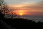 Alba genovese.
