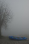 nebbia