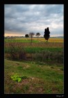 A Campo