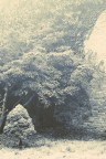 Nella nebbia 03