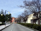 Viale ..........