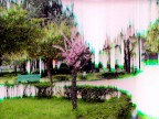 La morte di un CCD