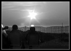 visione...gratuita