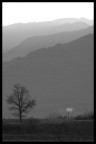 colline