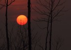 al calar del sole