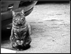 In the street