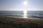 Controluce con d300 e 12 - 24