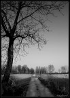 Zona golenale del Po