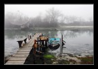 Colori nella nebbia