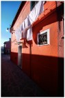 Rosso buranese