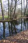Reflex(D40)