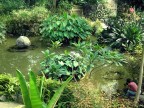 Stufas (le serre botaniche) a Lisbona
