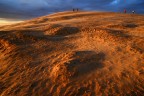 Rubjerg Knude