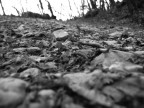 Ho fatto questa fotografia nel bosco.
Macchina fotografica utilizzata: Olimpus mju 400 digital
Data: 1 marzo 2008

Mi piacerebbe ricevere delle critiche o dei consigli per migliorare... grazie!!