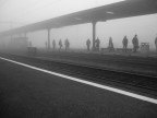Ho scattato questa foto mentre aspettavo il treno per andare a scuola. Adoro la nebbia come soggetto perch  qualcosa di poco materico e tangibile, ma incredibilmente suggestivo. Ho usato una semplice macchina fotografica automatica digitale (Olympus mju 400 digital). 

Critiche molto ben accette... da ogni critica o consiglio posso imparare e migliorare! Grazie!!