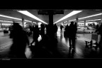 Stazione SMN Firenze - Binario 10 e 11