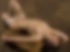 sex