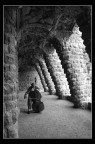 Contrabbasso in Par Guell