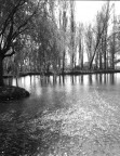 Fonti del Clitunno